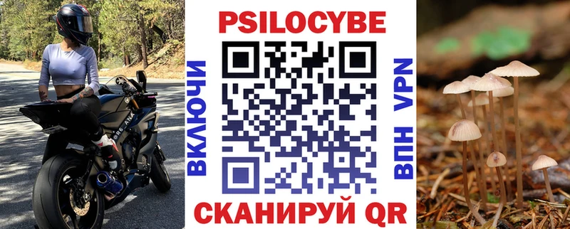 Галлюциногенные грибы Psilocybine cubensis  Калининск 